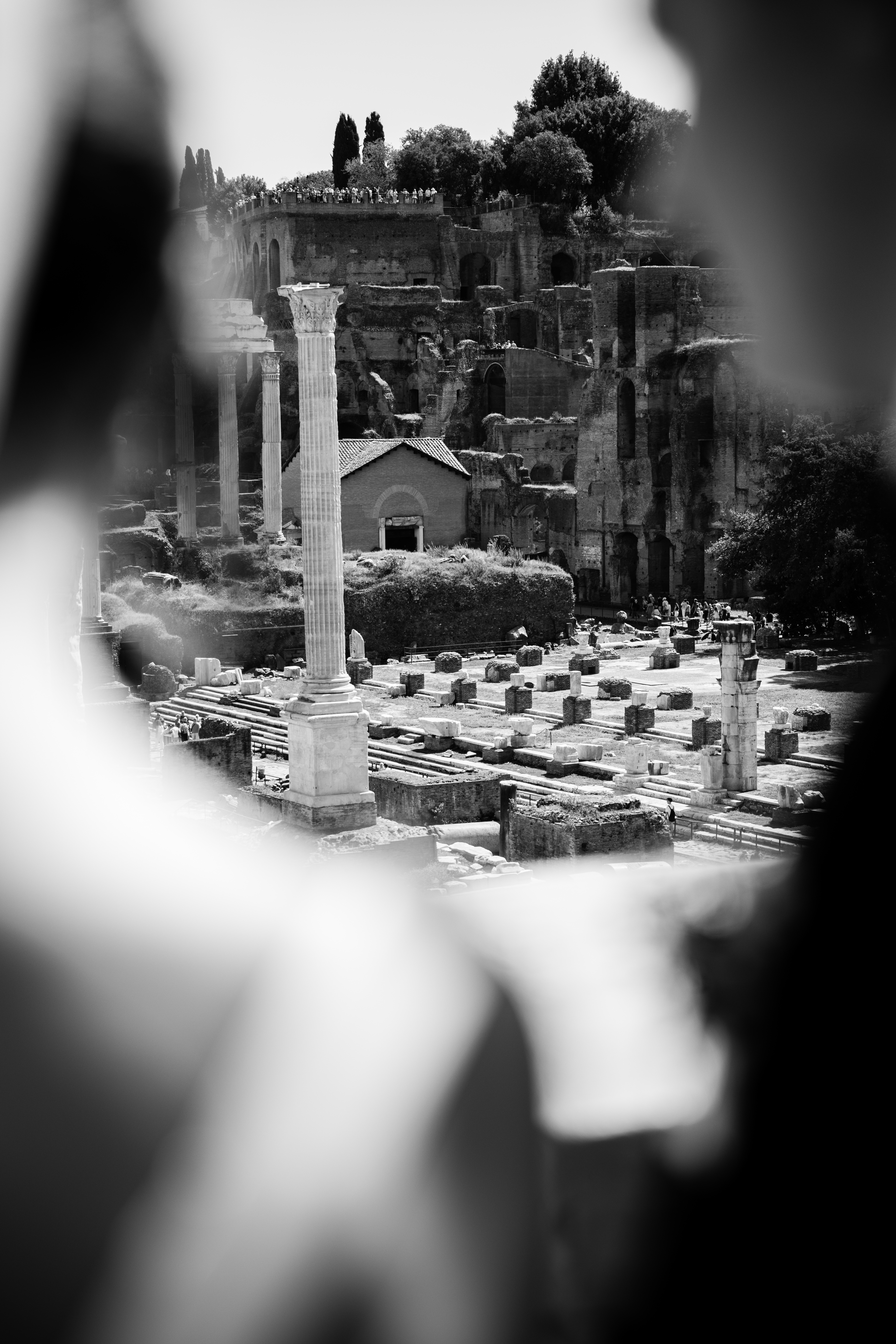 Züleyha & Mehmet #yurtdışında düğün #roma'da düğün
